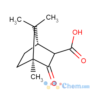 CAS No:18530-29-5 (-)-Camphorcarboxylic acid
