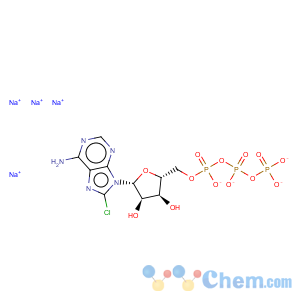 CAS No:185341-71-3 Adenosine5'-(tetrahydrogen triphosphate), 8-chloro- (9CI)