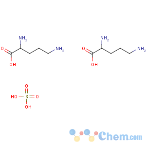 CAS No:185423-58-9 (2S)-2,5-diaminopentanoic acid