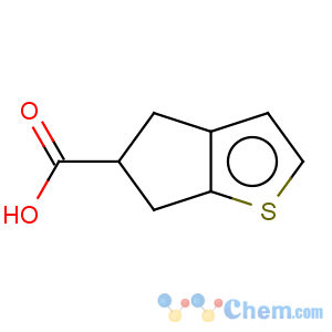 CAS No:185515-12-2 4H-Cyclopenta[b]thiophene-5-carboxylicacid, 5,6-dihydro-
