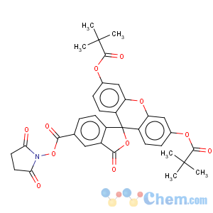 CAS No:186032-65-5 Spiro[isobenzofuran-1(3H),9'-[9H]xanthene]-5-carboxylicacid, 3',6'-bis(2,2-dimethyl-1-oxopropoxy)-3-oxo-, 2,5-dioxo-1-pyrrolidinylester