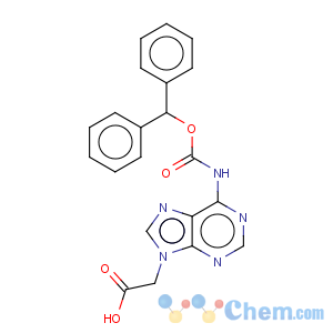 CAS No:186046-80-0 9H-Purine-9-aceticacid, 6-[[(diphenylmethoxy)carbonyl]amino]-