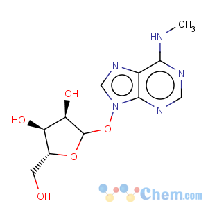 CAS No:1867-73-8 Adenosine, N-methyl-