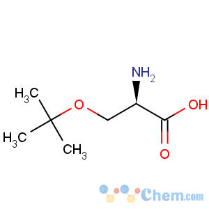 CAS No:18783-53-4 D-Serine,O-(1,1-dimethylethyl)-