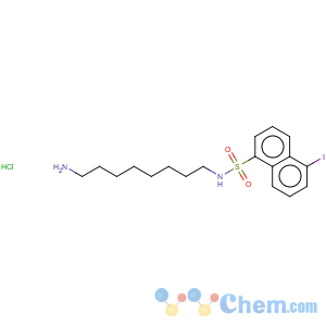 CAS No:187937-24-2 1-Naphthalenesulfonamide,N-(8-aminooctyl)-5-iodo-, hydrochloride (1:1)