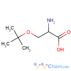CAS No:18822-58-7 (2S)-2-amino-3-[(2-methylpropan-2-yl)oxy]propanoic acid