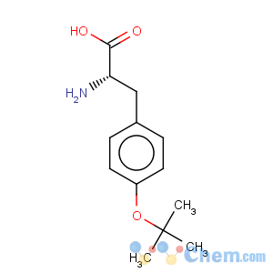 CAS No:18822-59-8 O-tert-Butyl-L-tyrosine