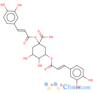 CAS No:1884-24-8 Cyclohexanecarboxylicacid, 1,3-bis[[3-(3,4-dihydroxyphenyl)-1-oxo-2-propen-1-yl]oxy]-4,5-dihydroxy-