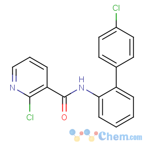 CAS No:188425-85-6 2-chloro-N-[2-(4-chlorophenyl)phenyl]pyridine-3-carboxamide
