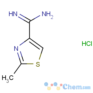 CAS No:18876-82-9 2-methyl-1,3-thiazole-4-carboximidamide
