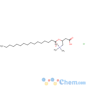 CAS No:18877-64-0 [(2R)-3-carboxy-2-hexadecanoyloxypropyl]-trimethylazanium