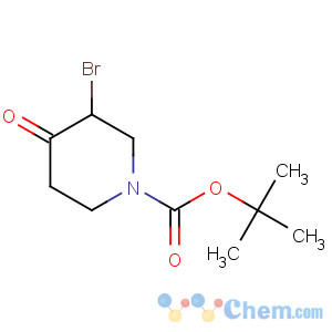 CAS No:188869-05-8 tert-butyl 3-bromo-4-oxopiperidine-1-carboxylate