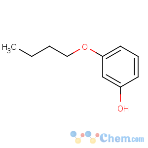 CAS No:18979-72-1 3-butoxyphenol