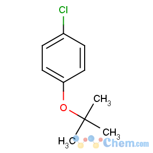 CAS No:18995-35-2 1-chloro-4-[(2-methylpropan-2-yl)oxy]benzene
