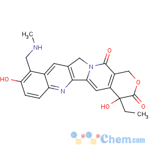 CAS No:190710-79-3 1H-Pyrano[3',4':6,7]indolizino[1,2-b]quinoline-3,14(4H,12H)-dione,4-ethyl-4,9-dihydroxy-10-[(methylamino)methyl]-, (4S)-
