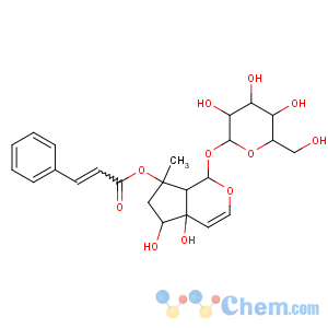 CAS No:19210-12-9 [(1S,4aS,5R,7S,7aS)-4a,5-dihydroxy-7-methyl-1-[(2S,3R,4S,5S,6R)-3,4,<br />5-trihydroxy-6-(hydroxymethyl)oxan-2-yl]oxy-1,5,6,<br />7a-tetrahydrocyclopenta[c]pyran-7-yl] (E)-3-phenylprop-2-enoate