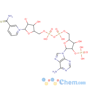 CAS No:19254-05-8 Adenosine5'-(trihydrogen diphosphate), 2'-(dihydrogen phosphate), P'®