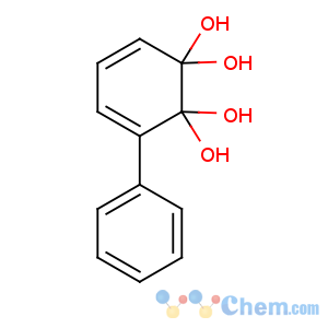 CAS No:19261-03-1 3-phenylcyclohexa-3,5-diene-1,1,2,2-tetrol