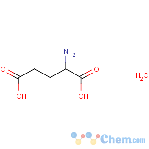 CAS No:19285-83-7 2-aminopentanedioic acid