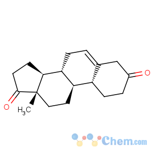 CAS No:19289-77-1 Estr-5-ene-3,17-dione(7CI,8CI,9CI)