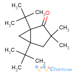 CAS No:19377-95-8 1,5-ditert-butyl-3,3-dimethylbicyclo[3.1.0]hexan-2-one