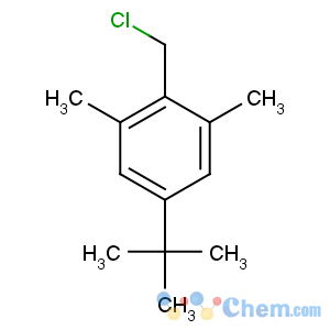 CAS No:19387-83-8 5-tert-butyl-2-(chloromethyl)-1,3-dimethylbenzene