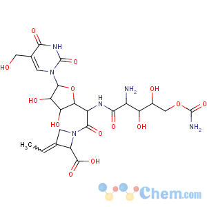 CAS No:19396-03-3 2-Azetidinecarboxylicacid,1-[5-[[2-amino-5-O-(aminocarbonyl)-2-deoxy-L-xylonoyl]amino]-1,5-dideoxy-1-[3,4-dihydro-5-(hydroxymethyl)-2,4-dioxo-1(2H)-pyrimidinyl]-b-D-allofuranuronoyl]-3-ethylidene-,(2S,3Z)- (9CI)