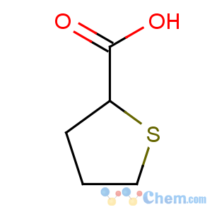 CAS No:19418-11-2 thiolane-2-carboxylic acid