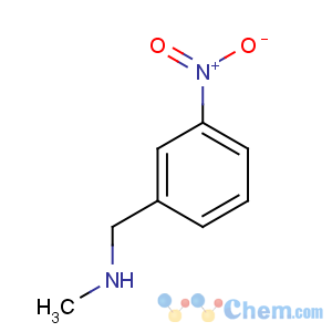 CAS No:19499-61-7 N-methyl-1-(3-nitrophenyl)methanamine