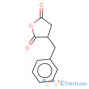 CAS No:19544-43-5 benzyl butanedioic acid anhydride