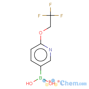 CAS No:196083-20-2 [6-(2,2,2-trifluoroethoxy)pyridin-3-yl]boronic acid