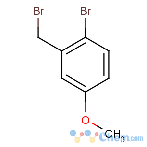 CAS No:19614-12-1 1-bromo-2-(bromomethyl)-4-methoxybenzene