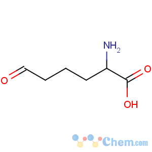 CAS No:1962-83-0 Norleucine, 6-oxo-