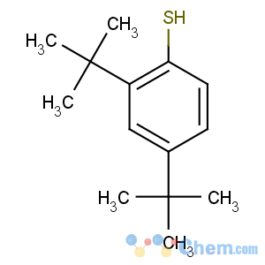 CAS No:19728-43-9 2,4-ditert-butylbenzenethiol
