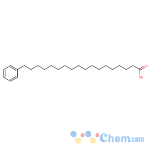 CAS No:19740-00-2 18-phenyloctadecanoic acid