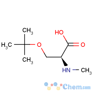 CAS No:197632-83-0 L-Serine,O-(1,1-dimethylethyl)-N-methyl-