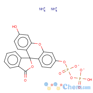 CAS No:197777-66-5 Spiro[isobenzofuran-1(3H),9'-[9H]xanthen]-3-one,3',6'-bis(phosphonooxy)-, diammonium salt (9CI)