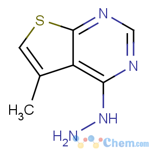 CAS No:19786-56-2 (5-methylthieno[2,3-d]pyrimidin-4-yl)hydrazine
