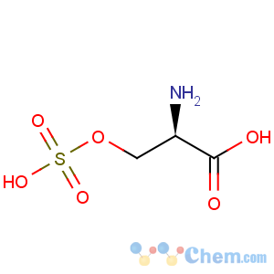 CAS No:19794-48-0 D-Serine, hydrogensulfate (ester) (9CI)