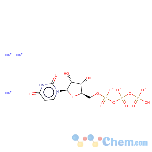CAS No:19817-92-6 Uridine-5'-triphosphoric acid trisodium salt