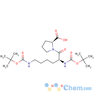 CAS No:198475-99-9 L-Proline,N2,N6-bis[(1,1-dimethylethoxy)carbonyl]-L-lysyl- (9CI)