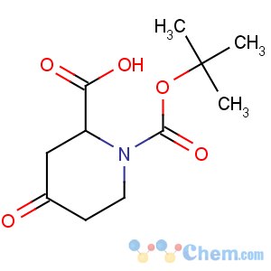 CAS No:198646-60-5 1,2-Piperidinedicarboxylicacid, 4-oxo-, 1-(1,1-dimethylethyl) ester, (2S)-
