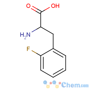 CAS No:19883-78-4 (2S)-2-amino-3-(2-fluorophenyl)propanoic acid