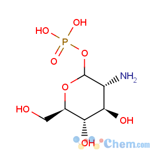 CAS No:19889-76-0 D-Glucopyranose,2-amino-2-deoxy-, 1-(dihydrogen phosphate)