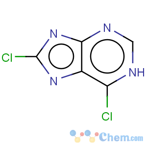 CAS No:19916-15-5 9H-Purine,6,8-dichloro-