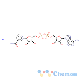 CAS No:20111-18-6 Adenosine5'-(trihydrogen diphosphate), P'®