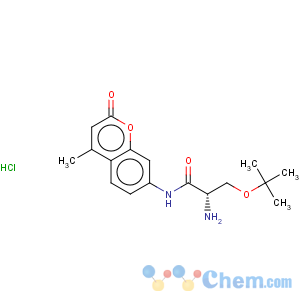 CAS No:201855-41-6 h-ser(tbu)-amc hcl