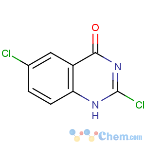 CAS No:20197-87-9 2,6-dichloro-1H-quinazolin-4-one