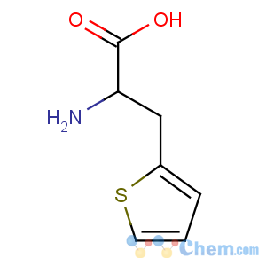 CAS No:2021-58-1 2-amino-3-thiophen-2-ylpropanoic acid