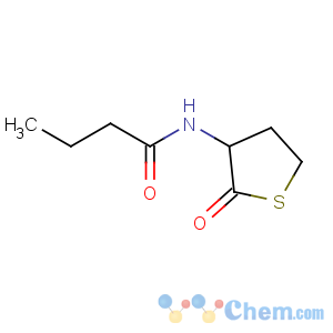 CAS No:202284-85-3 N-[(3S)-2-oxothiolan-3-yl]butanamide